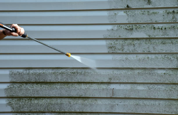 Best Pressure Washing Patio  in Greenup, KY