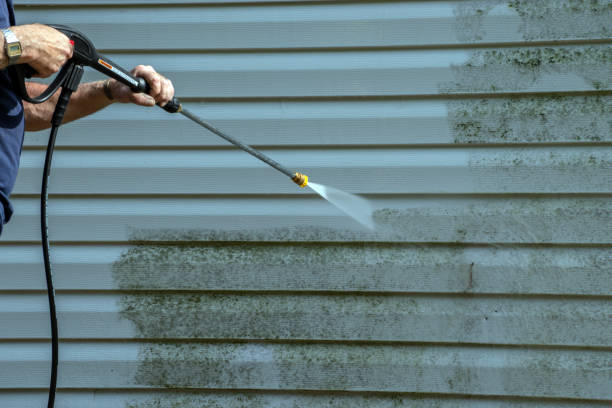 Best Commercial Pressure Washing  in Greenup, KY