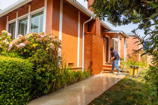 Best Residential Pressure Washing Services  in Greenup, KY