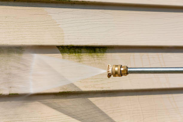 Best House Pressure Washing  in Greenup, KY